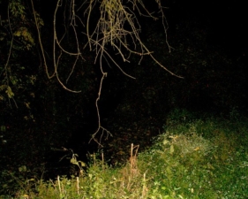 We took several photos in an attempt to capture what he had witnessed.