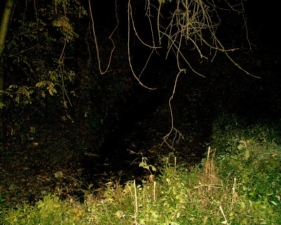 But we did not get any results. Perhaps we'll try again someday.