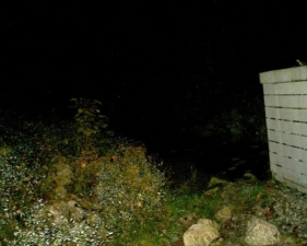 The other side of the overpass where the creek emerged.