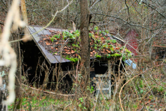 This building looked like a small shack.