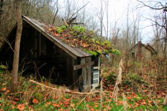 Looking from the shack-like building toward the larger home.