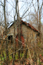 Looking over to the largest of the three homes.
