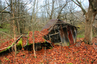 This chicken coop was between the larger house and the tool shed.