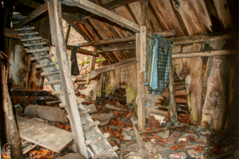Inside the chicken coop.