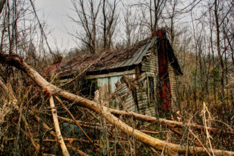 The home has been battered by tree limbs over the years.