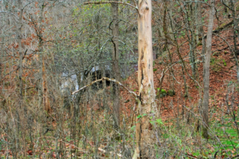 The view of Glencoe Tunnel from the home site.