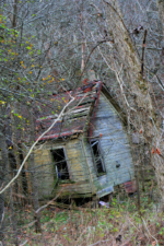 The home looked like it had been abandoned for quite some time.