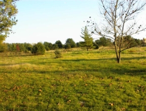 A few of the golf course's remaining holes at the time of our visit.