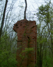 An old column in the middle of the brush.