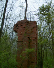An old column in the middle of the brush.