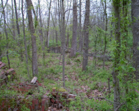 Rubble from the defunct Greendale Brick Plant.