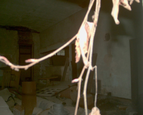 Many paint cans, papers and other items littered the floor.