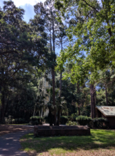 Approaching the Rear-Range Lighthouse from the access path off Leamington Lane.