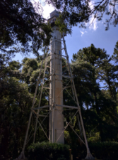 Our first look at the Rear-Range Lighthouse, AKA the Leamington Lighthouse.