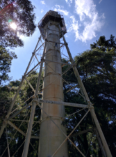 Looking to the top of the 95-foot tall tower.