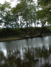 This photo was taken at Hamilton Township Park in Franklin County.