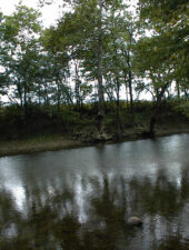 This photo was taken at Hamilton Township Park in Franklin County.