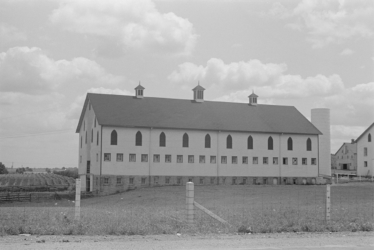Another large barn on the Hartman Farm.