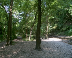 Most of the creek bed is usually dry unless there has been a heavy rain.