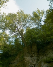 When we visited, we had to hike from the top of this cliff down into the ravine.