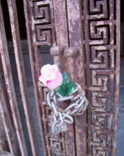A plastic rose was placed in the chain that kept the gates secure.