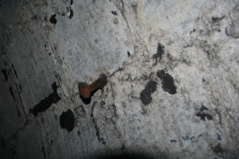 There were rail spikes driven into the wall every so often.