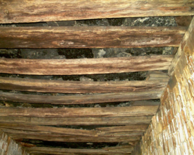 A closer look at the ceiling in this section of tunnel.