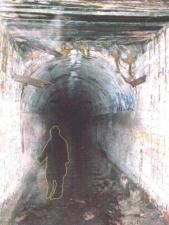 We outlined the possible apparition here to be viewed more easily.