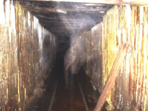This possible apparition photo was taken by Randy Garrison of COPS during a joint investigation in the tunnel.