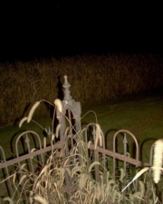 The opposite corner of the fence.