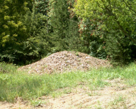This mound of mulch was at the back of the rest area.