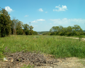 The parking area was overgrown with grass and weeds.