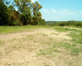 An overview shot of the rest area.