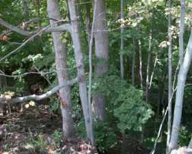 There was a pretty steep drop-off at the rear of the rest area.