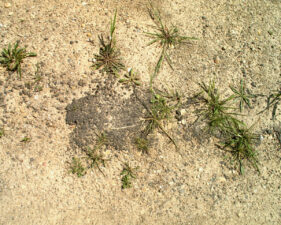 Another patch of asphalt in the rest area parking lot.