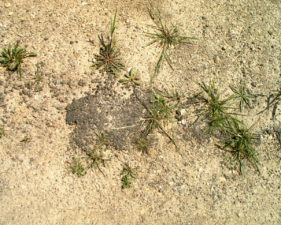 Another patch of asphalt in the rest area parking lot.