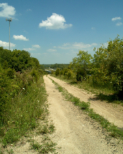 Looking down the driveway toward I-71 south below.