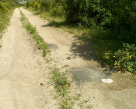 The driveway was mostly gravel, but there was small patches of asphalt remaining.