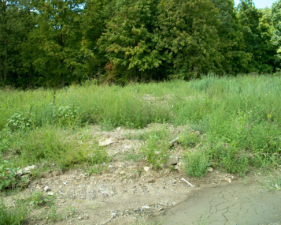 Once off the driveway, most of the area was gravel and grass.