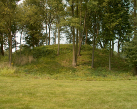Jeffers Mound was covered with tall grass and trees.