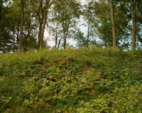 Looking to the top of the mound.