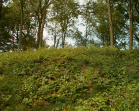 Looking to the top of the mound.