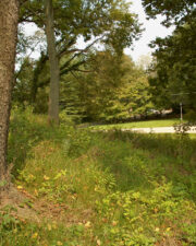 Jeffers Mound is considered the oldest man-made structure in Worthington.
