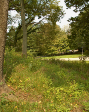Jeffers Mound is considered the oldest man-made structure in Worthington.