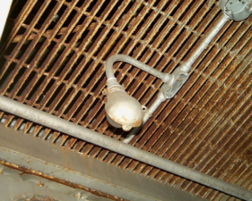 There was still a light bulb in this fixture, being protected by a metal case.