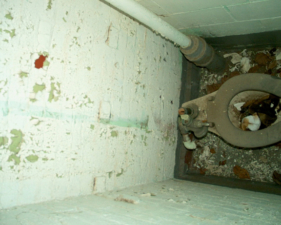 The factory's toilet.