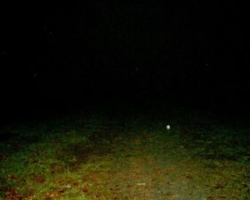 A drop of rain showed up in this photo as we walked into the field.