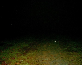 A drop of rain showed up in this photo as we walked into the field.