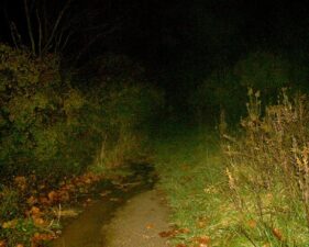 This was the path behind the gate at the end of the cul-de-sac.