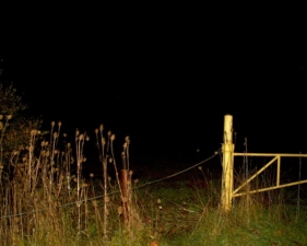 Amy's supposed murder site was somewhere past this gate.